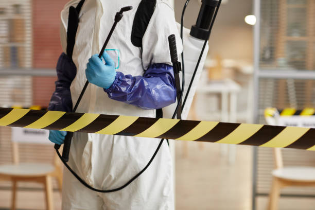 Professional Sewage Cleanup technician working in Eagle, NE